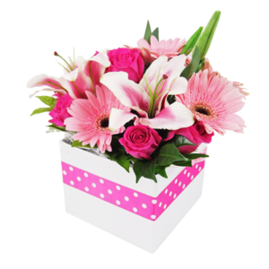 pink gerbera lily flower box