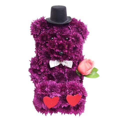 purple teddy bear flower